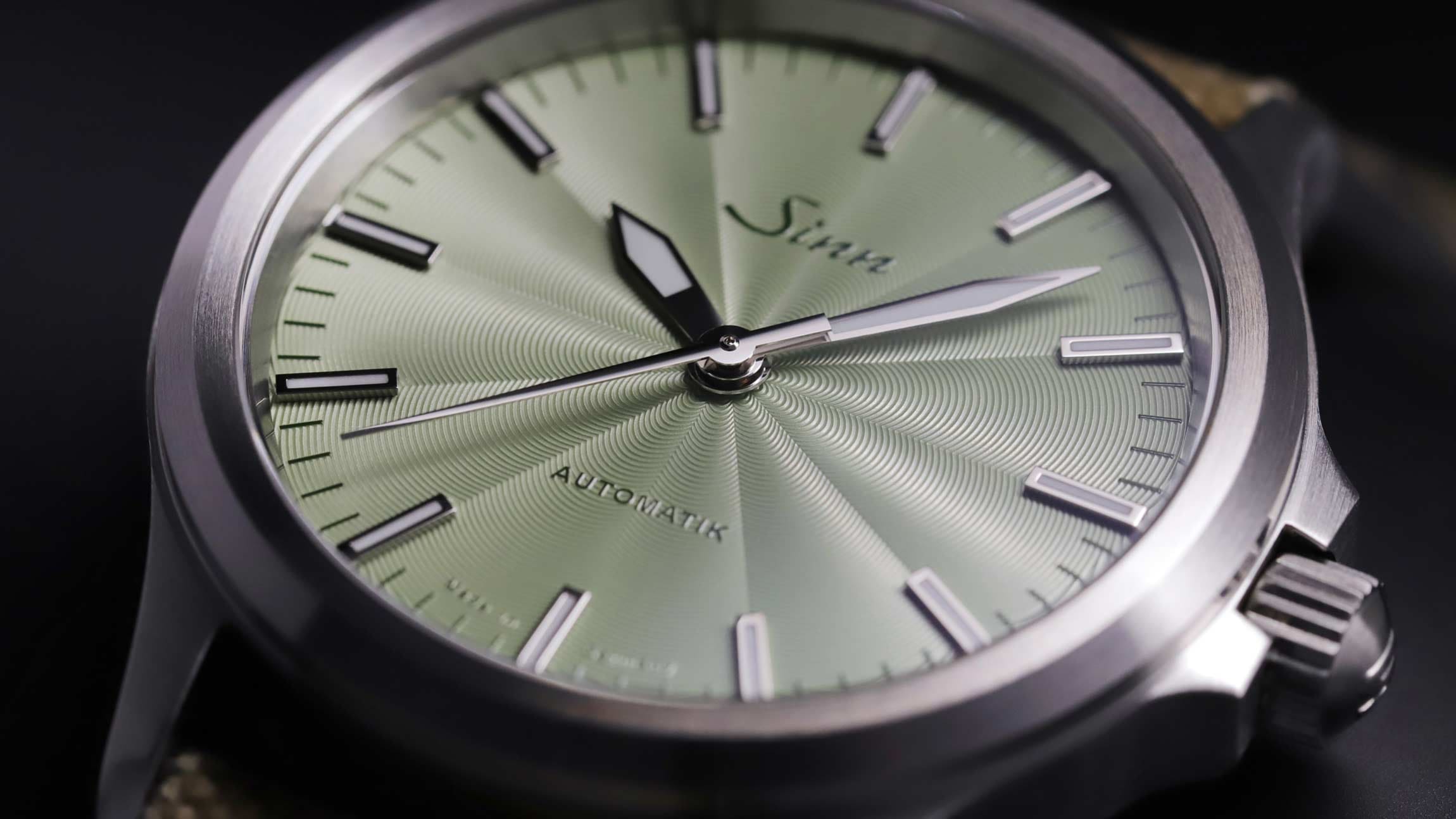                       Close-up of 556 sage
                  