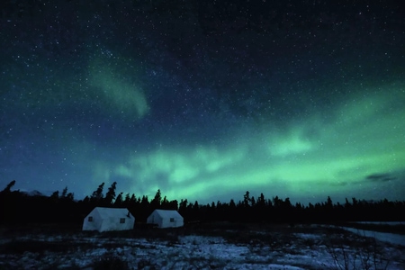                       Green glowing northern lights in the night sky over tents and a coniferous forest, with stars in the background.
                  