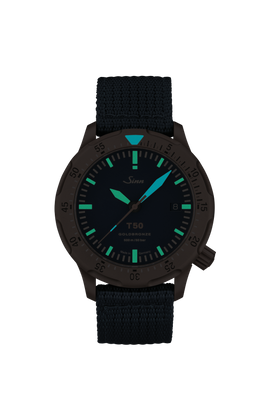 T50 GOLDBRONZE B – Night view